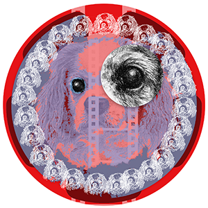 logo image featuring a dog face within a circular border with patterns and colors layered on the image surface